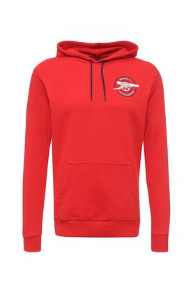 Puma  AFC Graphic Hoody